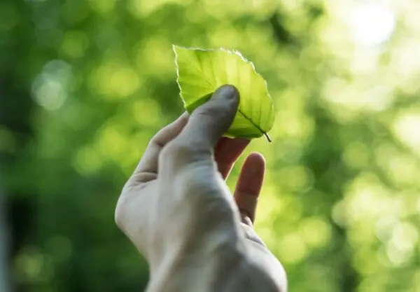 Sustainability and Circular Economy