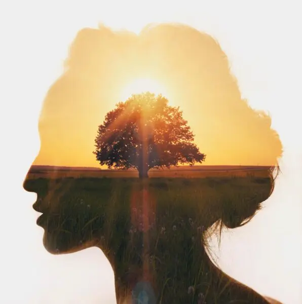 Mimesis: Philosophy of Meaning and Making Sense